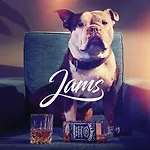 Design-hotel Jams
