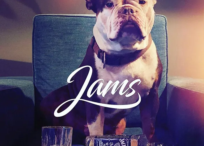Jams Music
